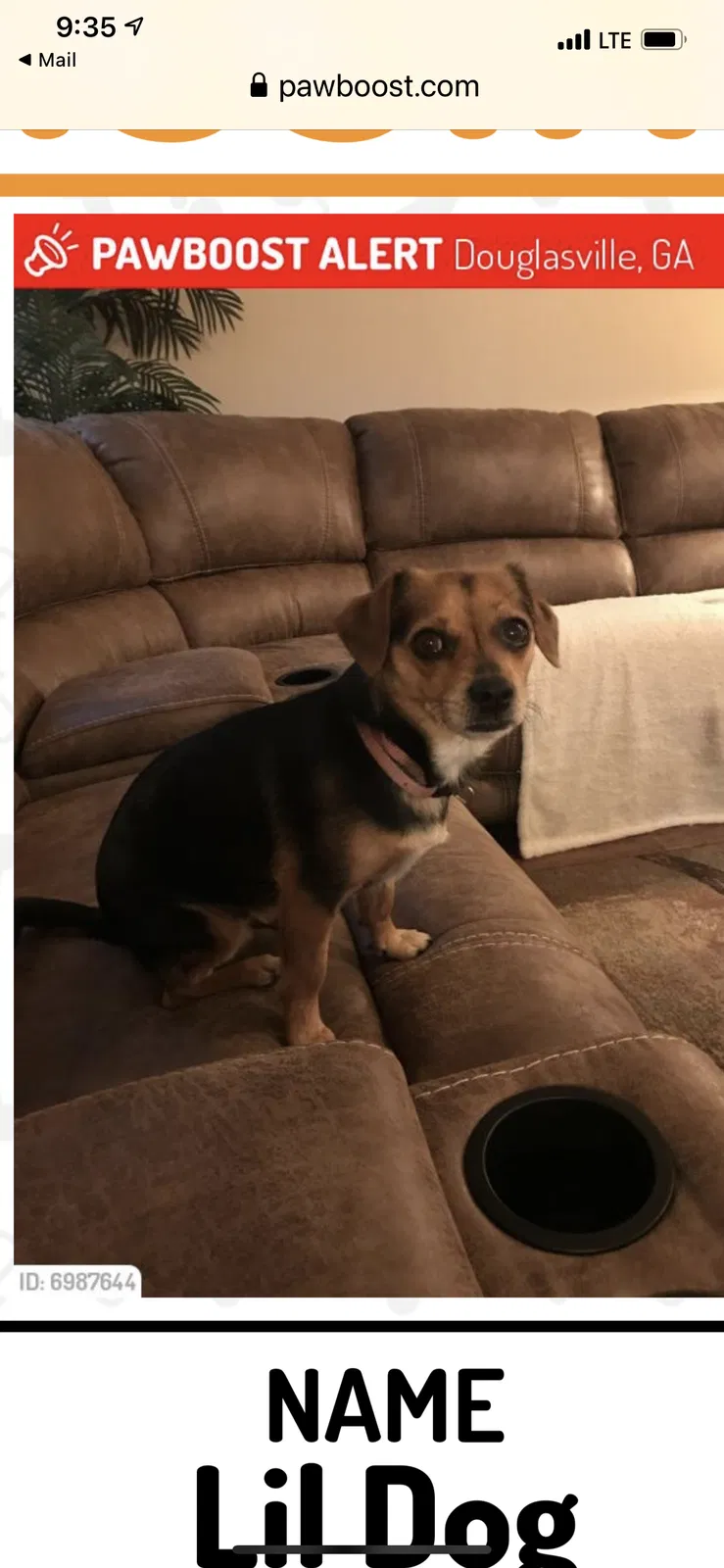 Lost dog in Douglasville, GA, 30134