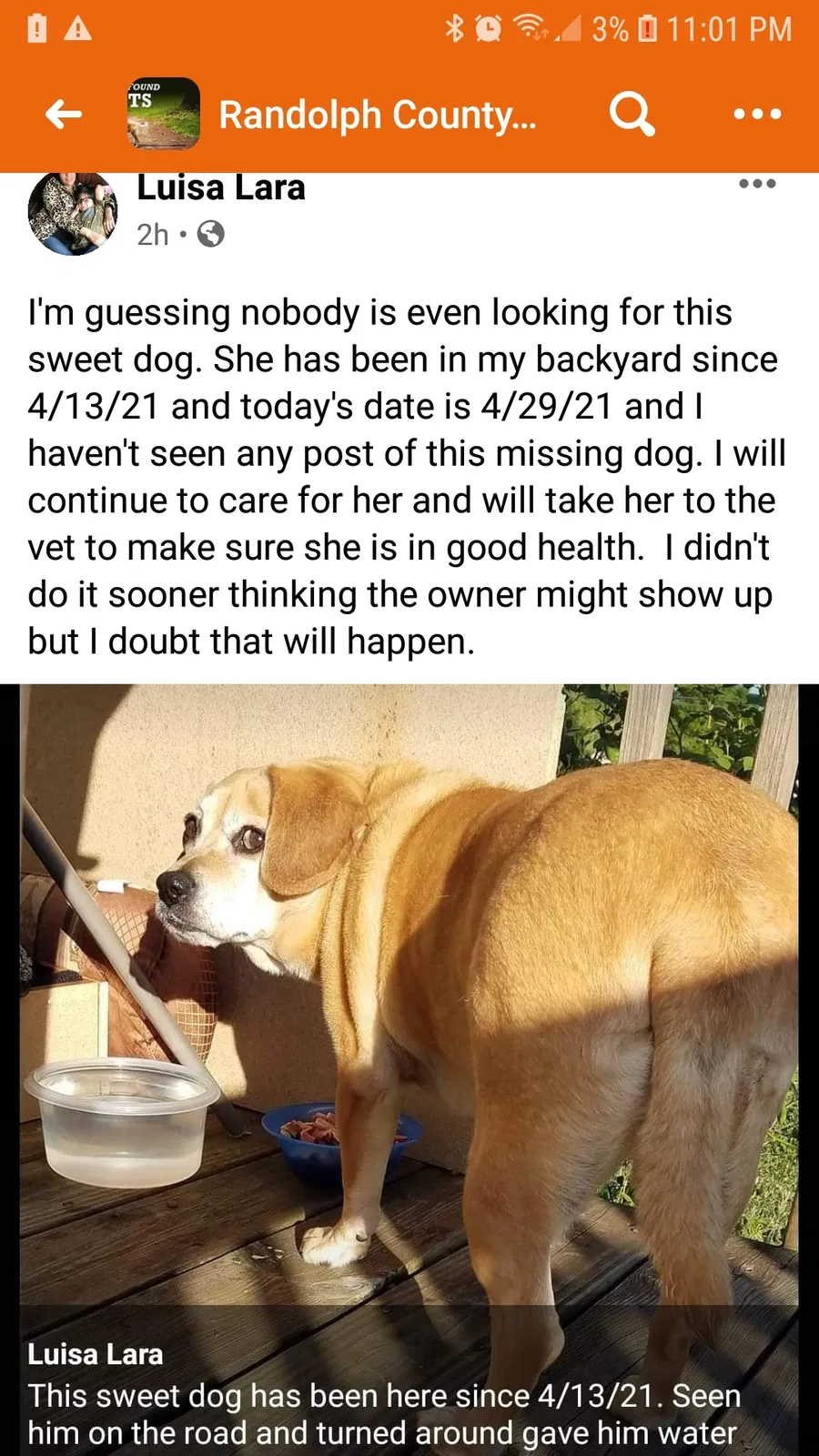 Lost dog in Sophia, NC, 27350
