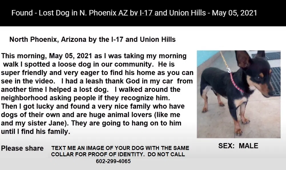 Found dog in Phoenix, AZ, 85027