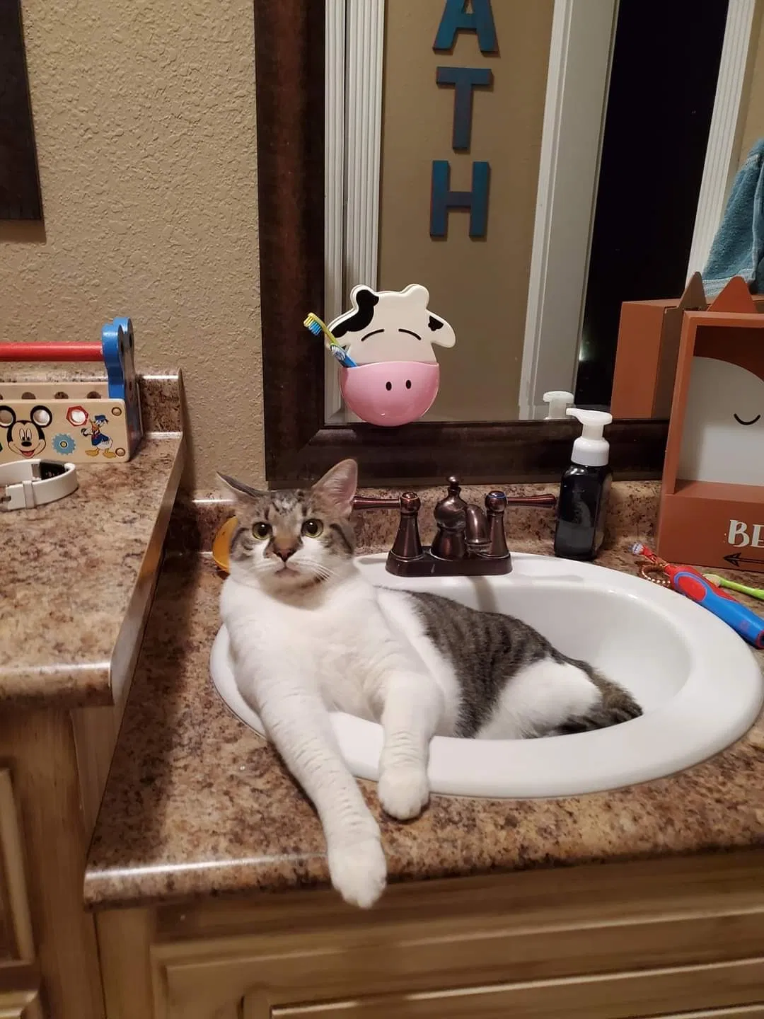 Lost cat in Pass Christian, MS, 39571