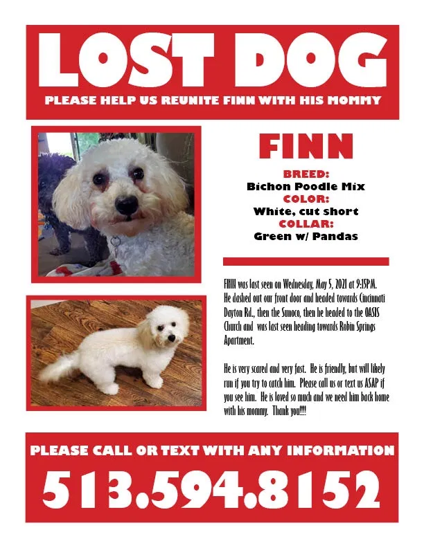 Lost dog in Middletown, OH, 45044