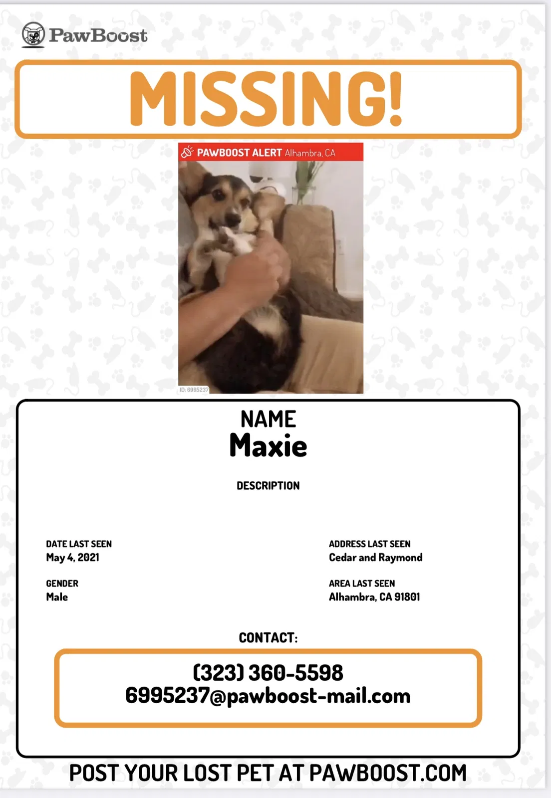 Lost dog in Alhambra, CA, 91801