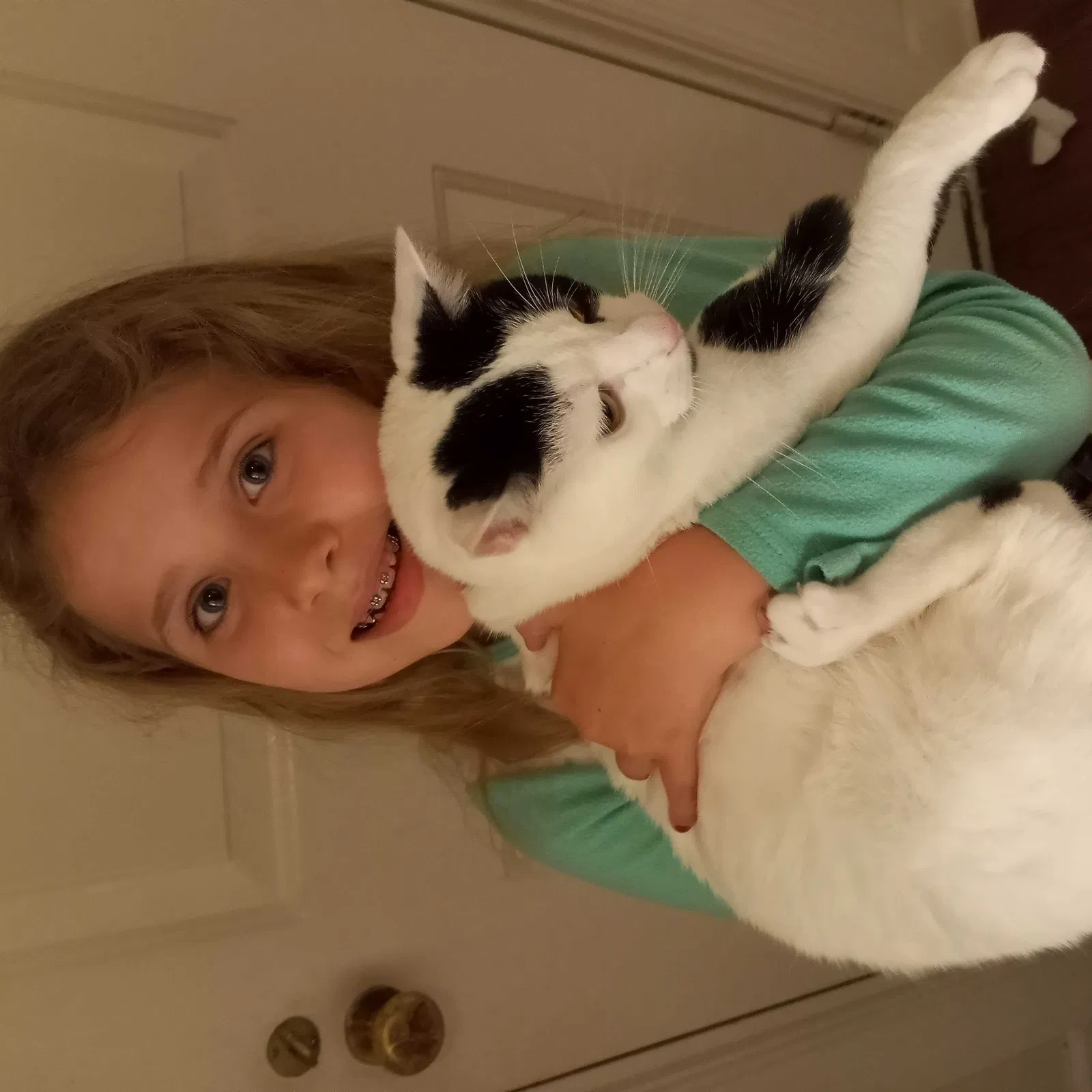 Lost cat in Fort Campbell, KY, 42223
