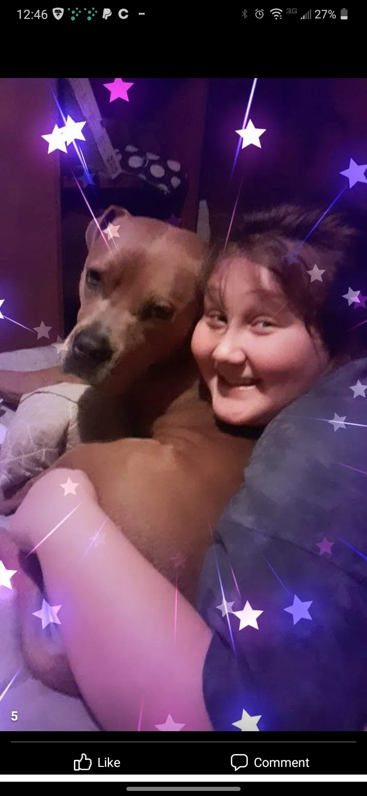 Lost dog in Manchester, TN, 37355