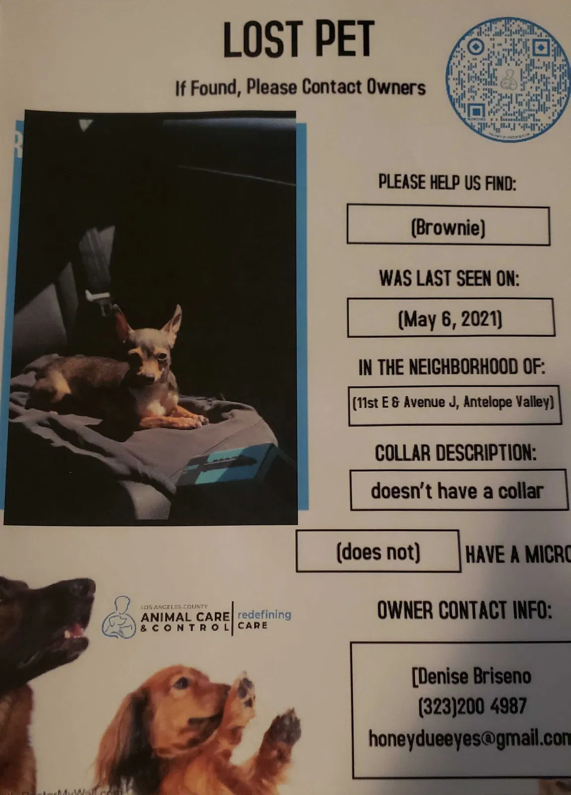Lost dog in Lancaster, CA, 93535