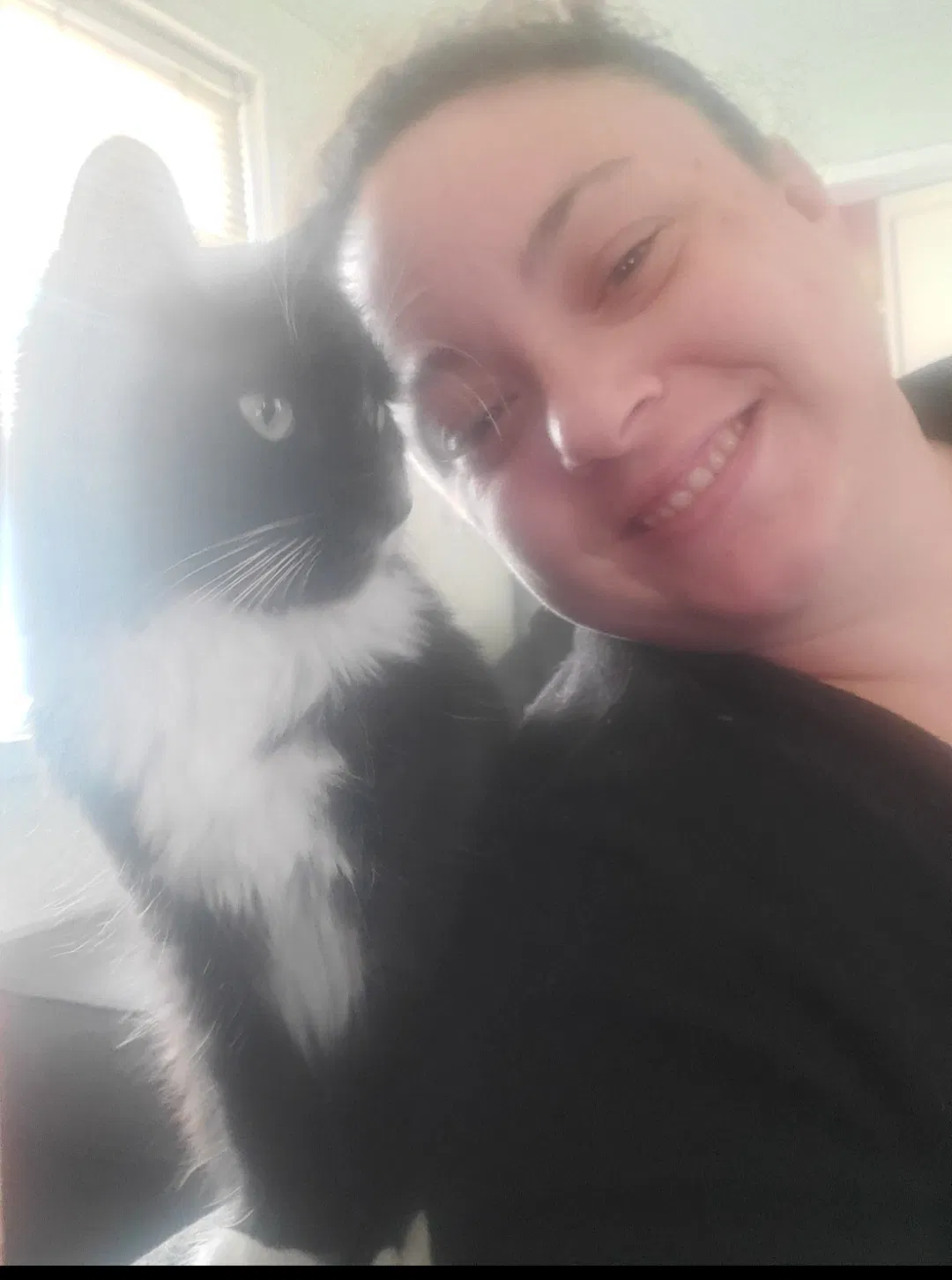 Lost cat in Bakersfield, CA, 93305