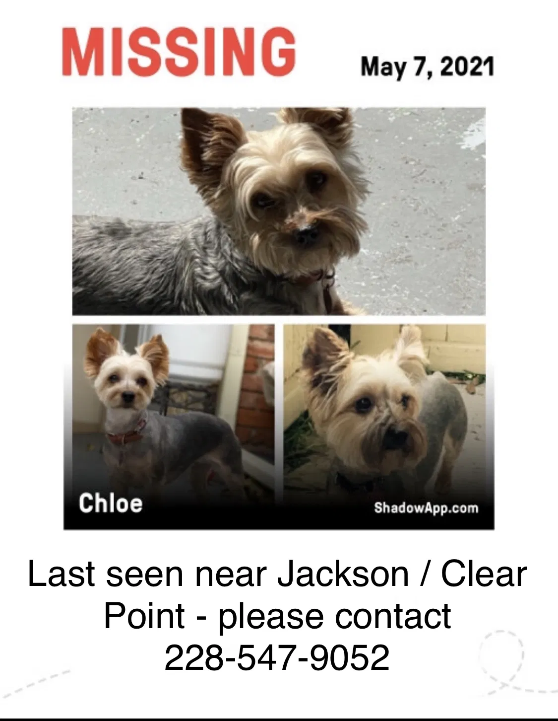 Lost dog in Garland, TX, 75041