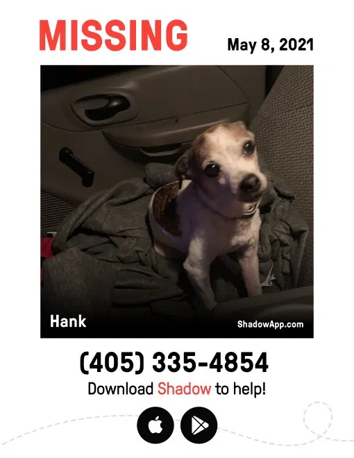 Lost dog in Oklahoma City, OK, 73127