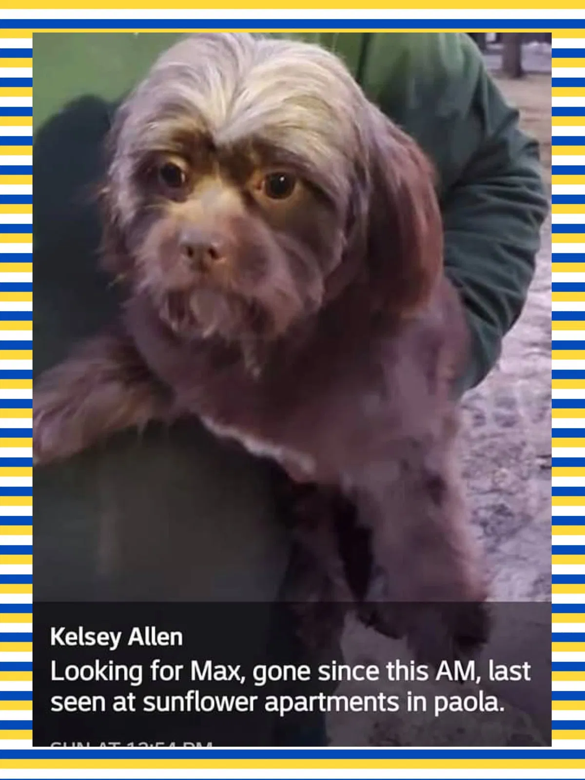 Lost dog in Paola, KS, 66071