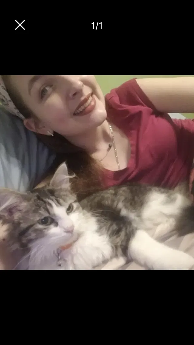 Lost cat in Las Vegas, NV, 89118