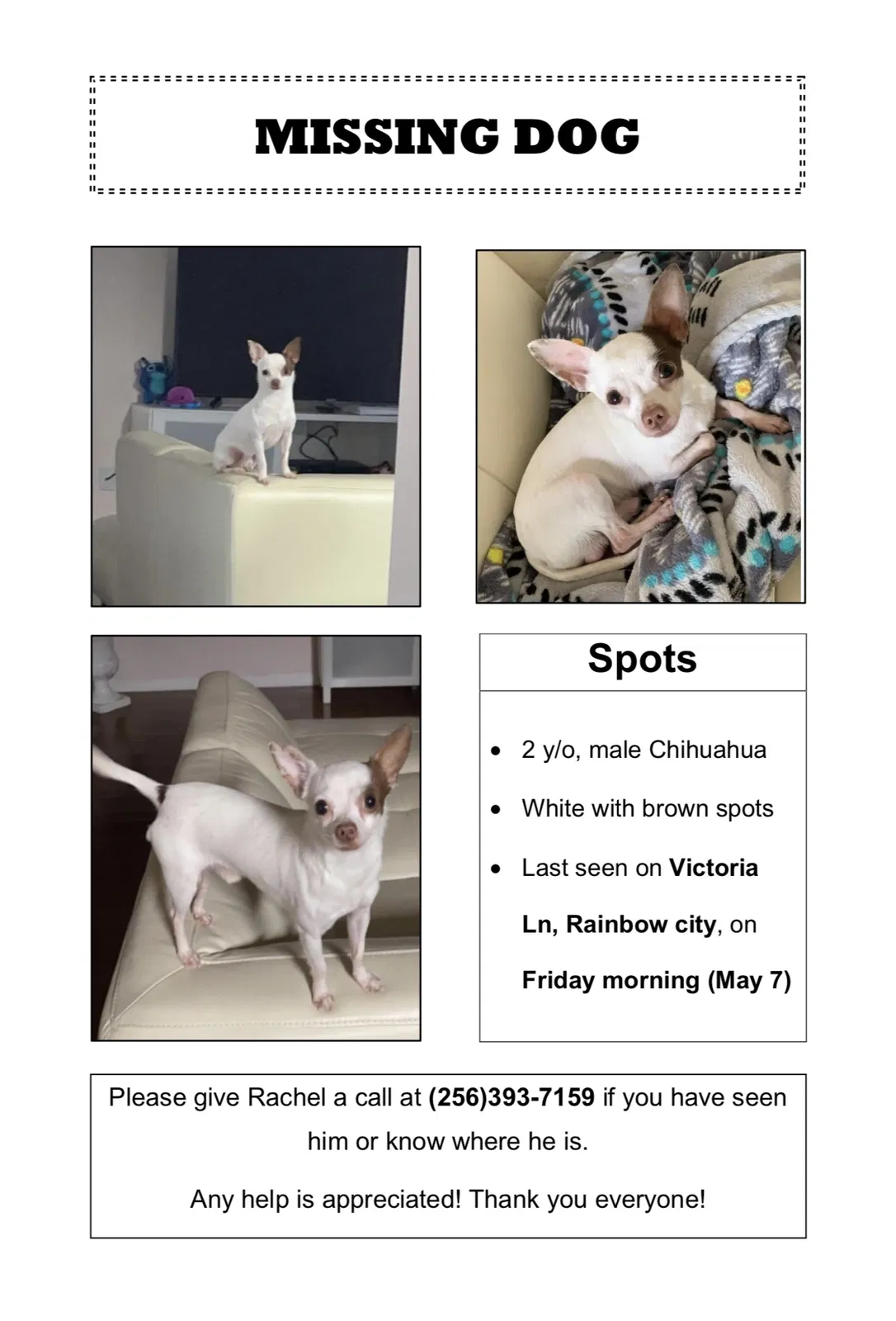 Lost dog in Rainbow City, AL, 35906