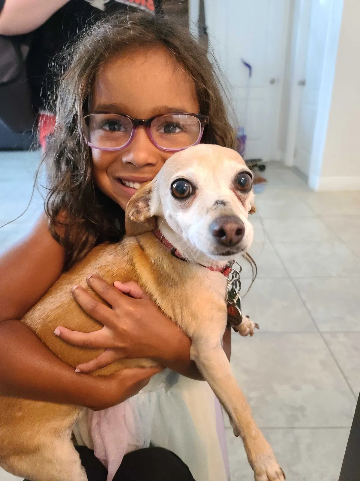 Lost dog in Auburndale, FL, 33823