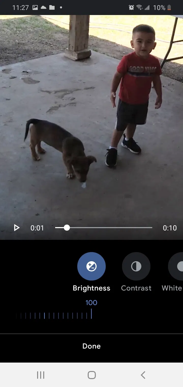 Lost dog in Lubbock, TX, 79414