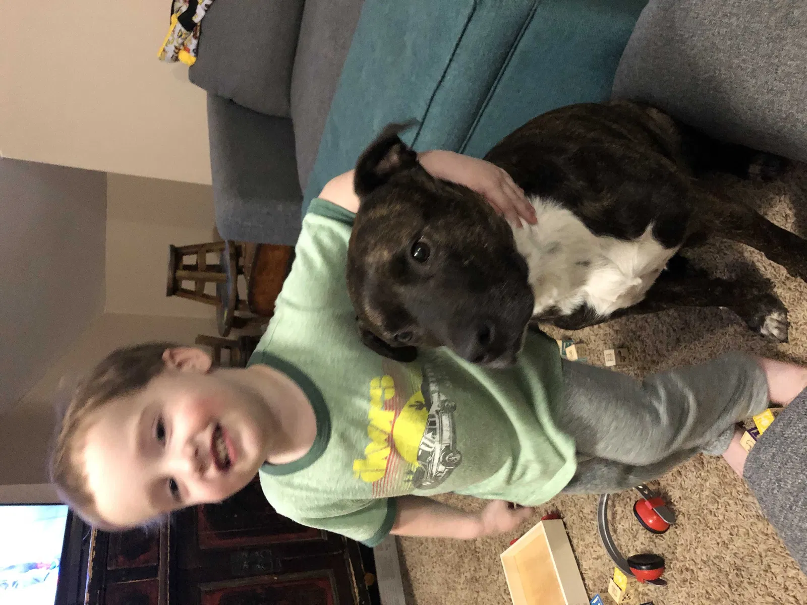 Lost dog in Old Hickory, TN, 37138