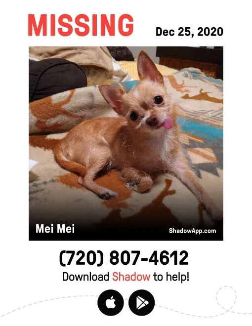 Lost dog in Commerce City, CO, 80022