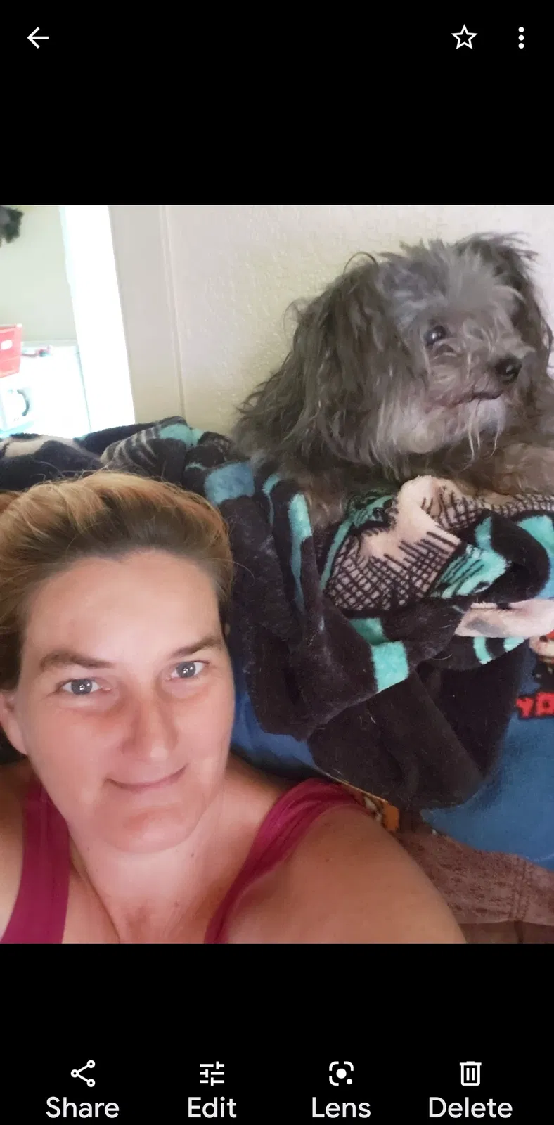 Lost dog in Copperas Cove, TX, 76522