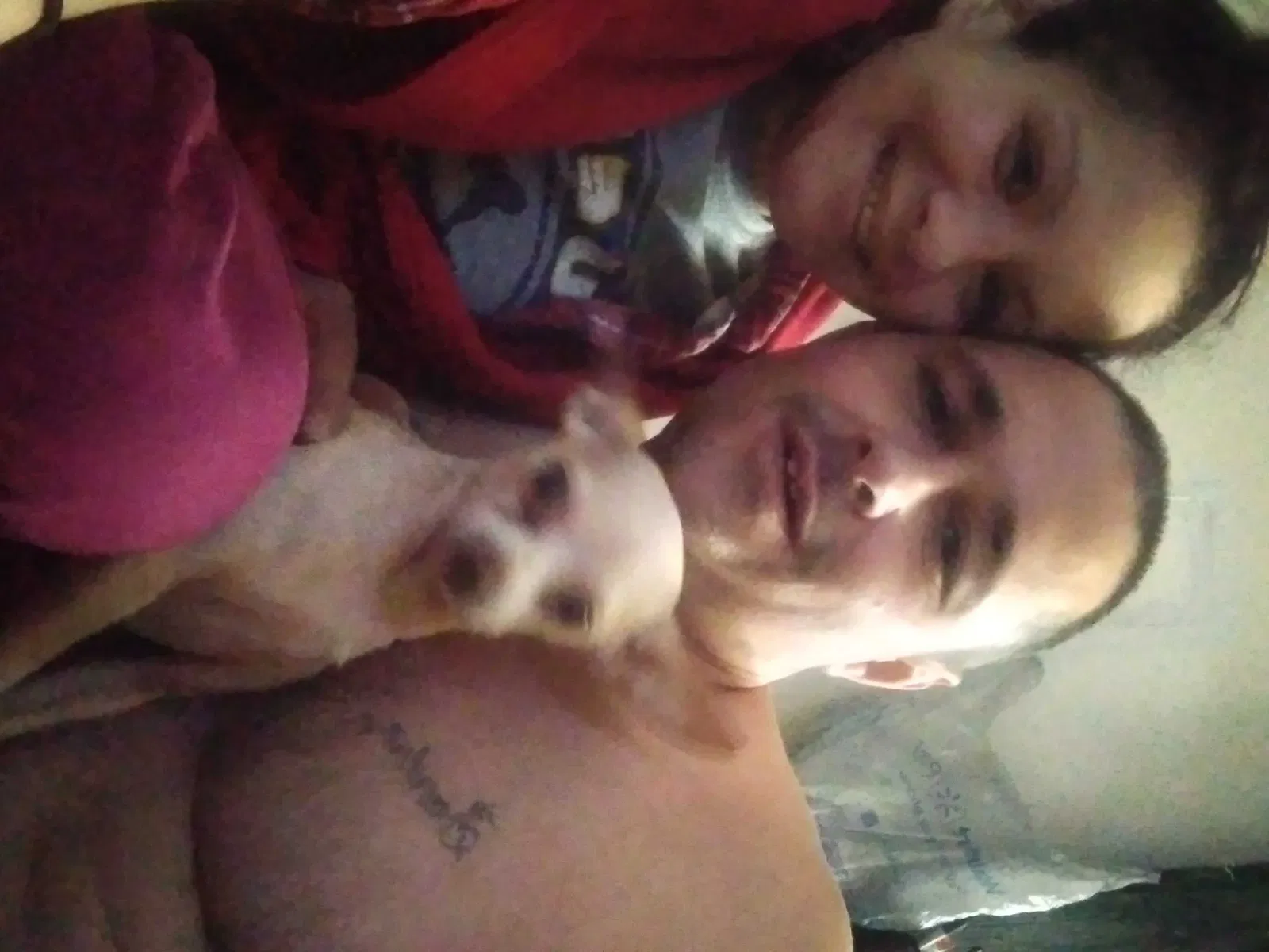 Lost dog in Channelview, TX, 77530