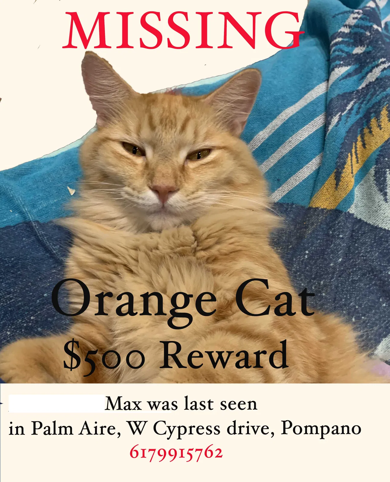 Lost cat in Pompano Beach, FL, 33069