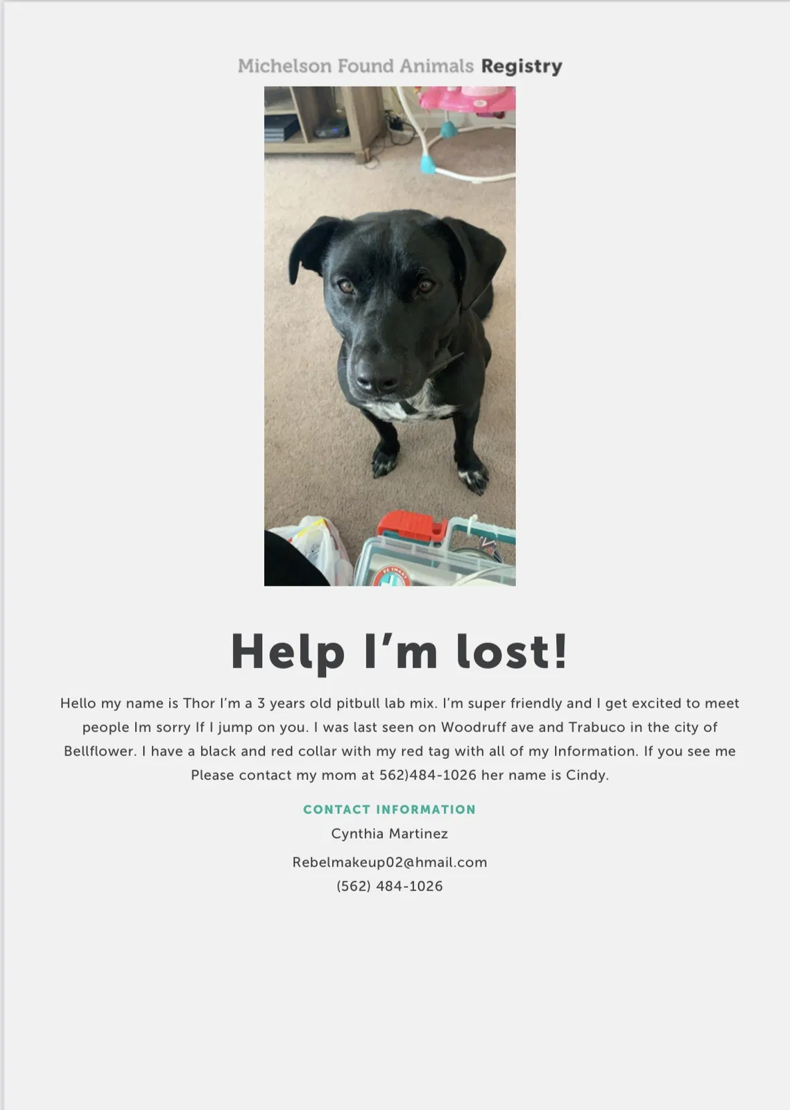 Lost dog in Bellflower, CA, 90706