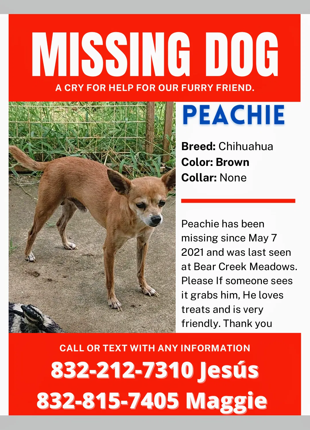 Lost dog in Katy, TX, 77449