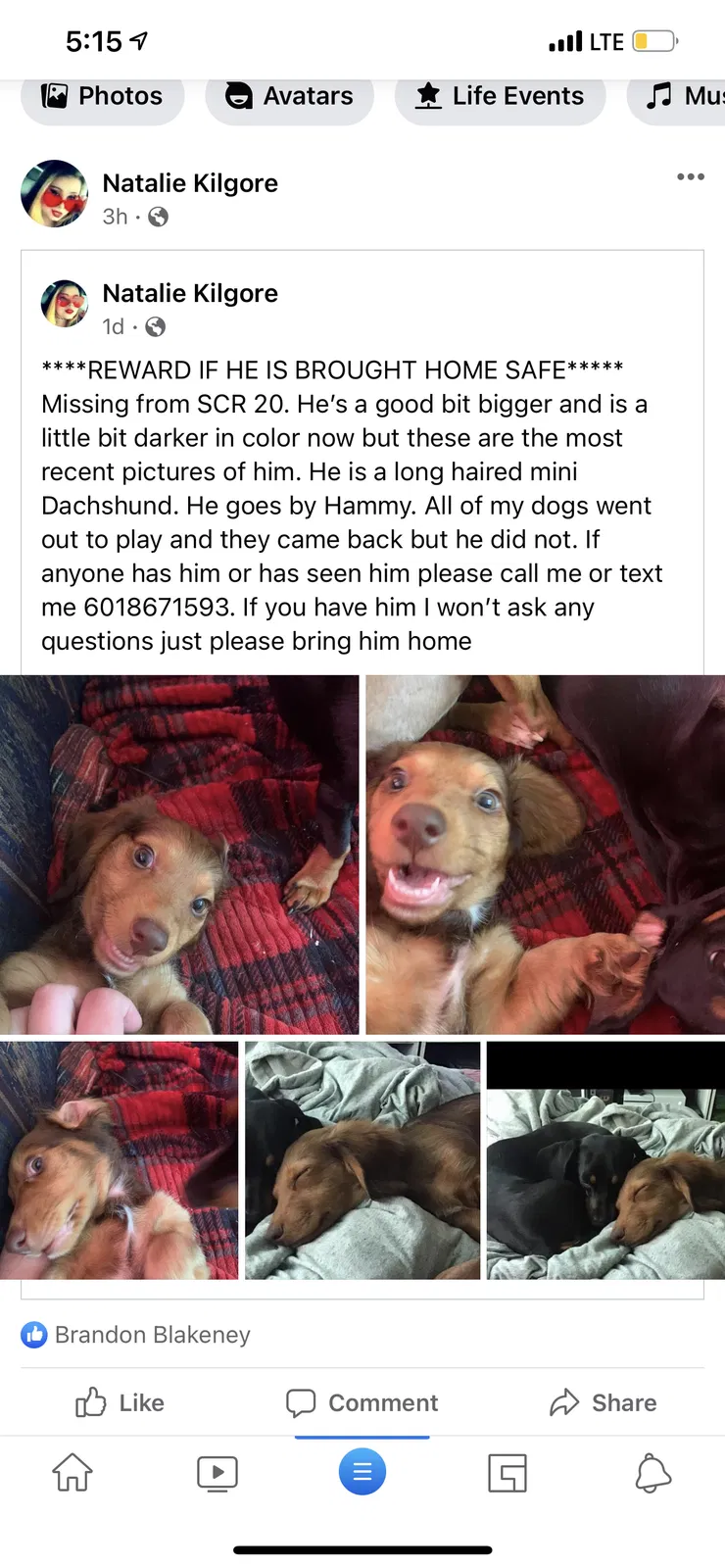 Lost dog in Mize, MS, 39116