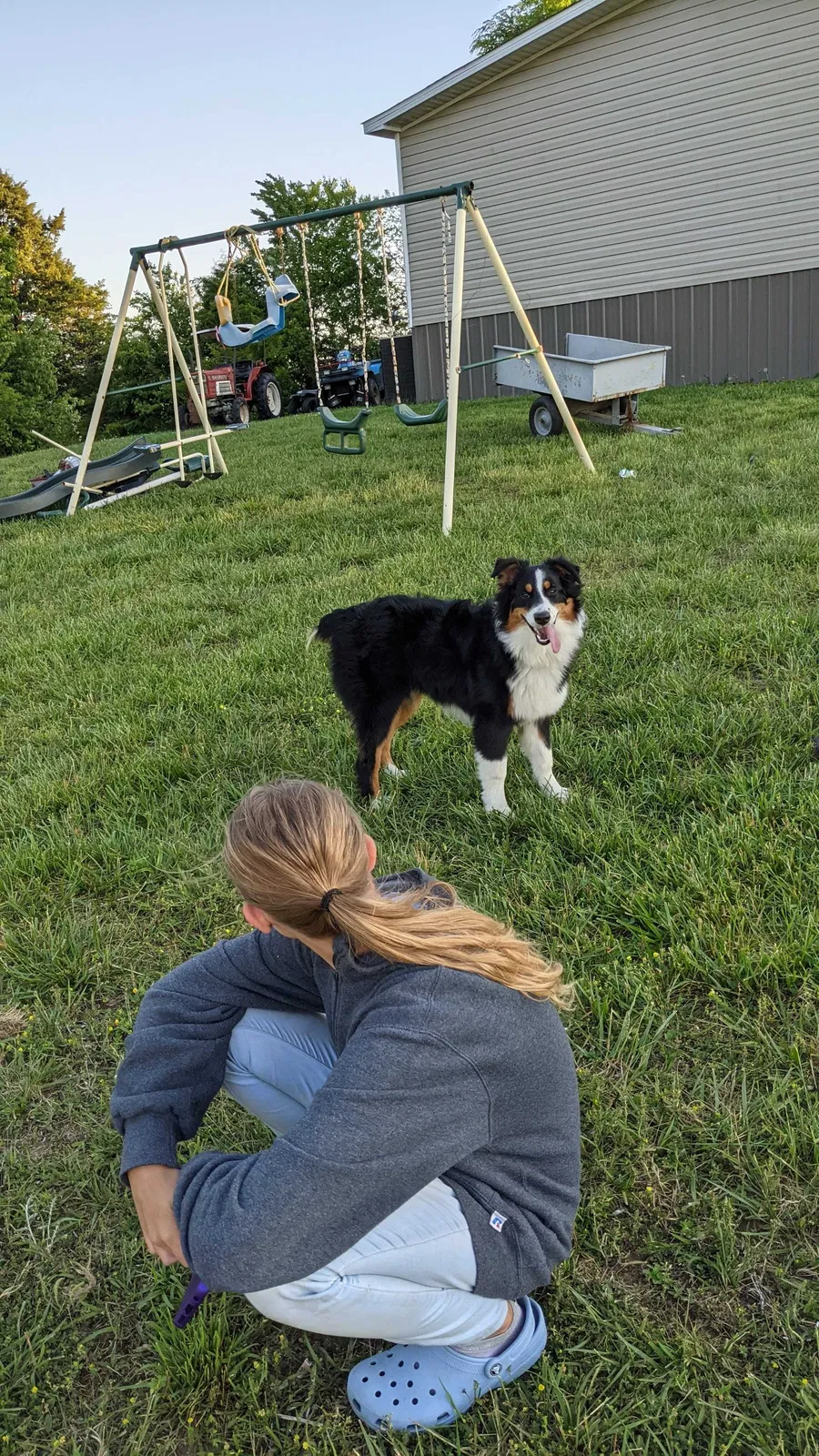 Lost dog in Dayton, TN, 37321
