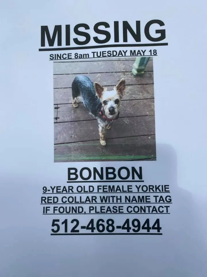 Lost dog in Austin, TX, 78704