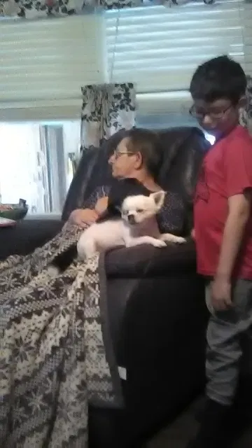 Lost dog in Duson, LA, 70529