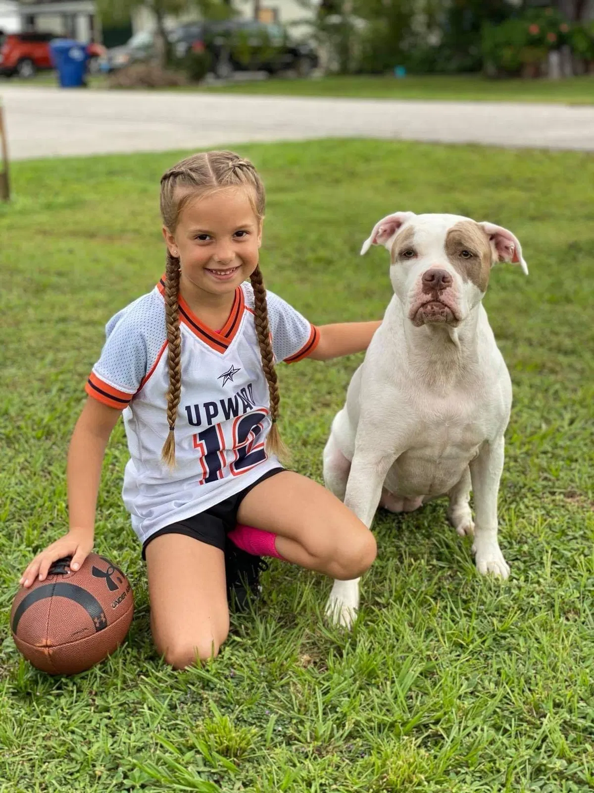 Lost dog in Labelle, FL, 33935