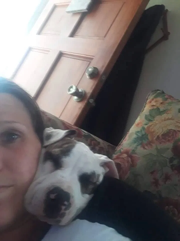 Lost dog in Claremore, OK, 74017