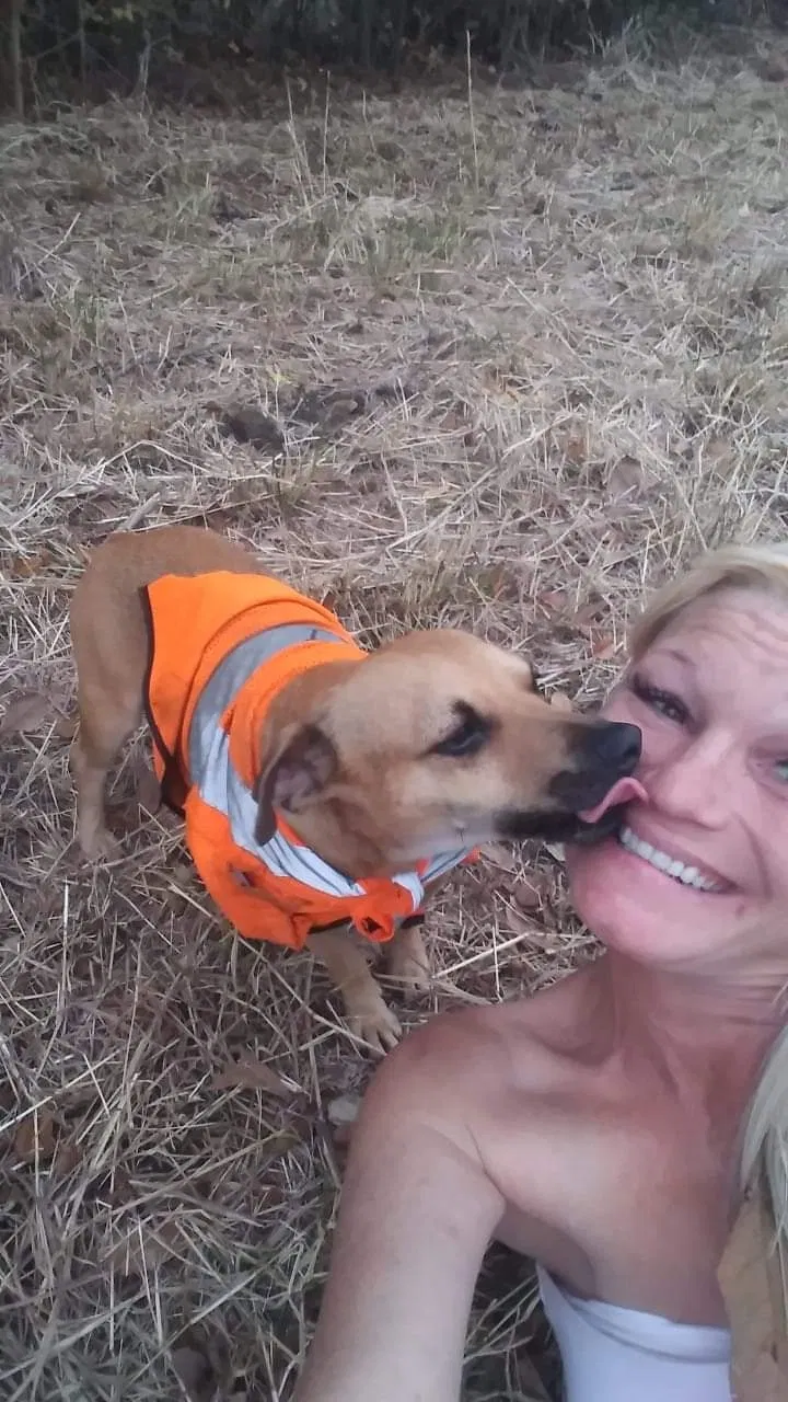 Lost dog in Port Neches, TX, 77651