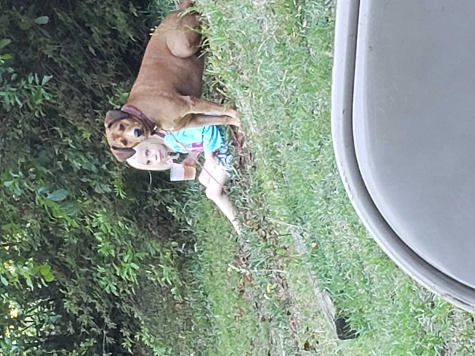 Lost dog in Augusta, GA, 30904