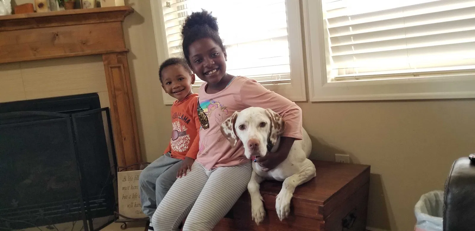 Lost dog in Draper, UT, 84020