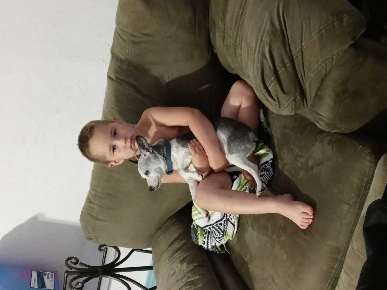 Lost dog in Saint Augustine, FL, 32095