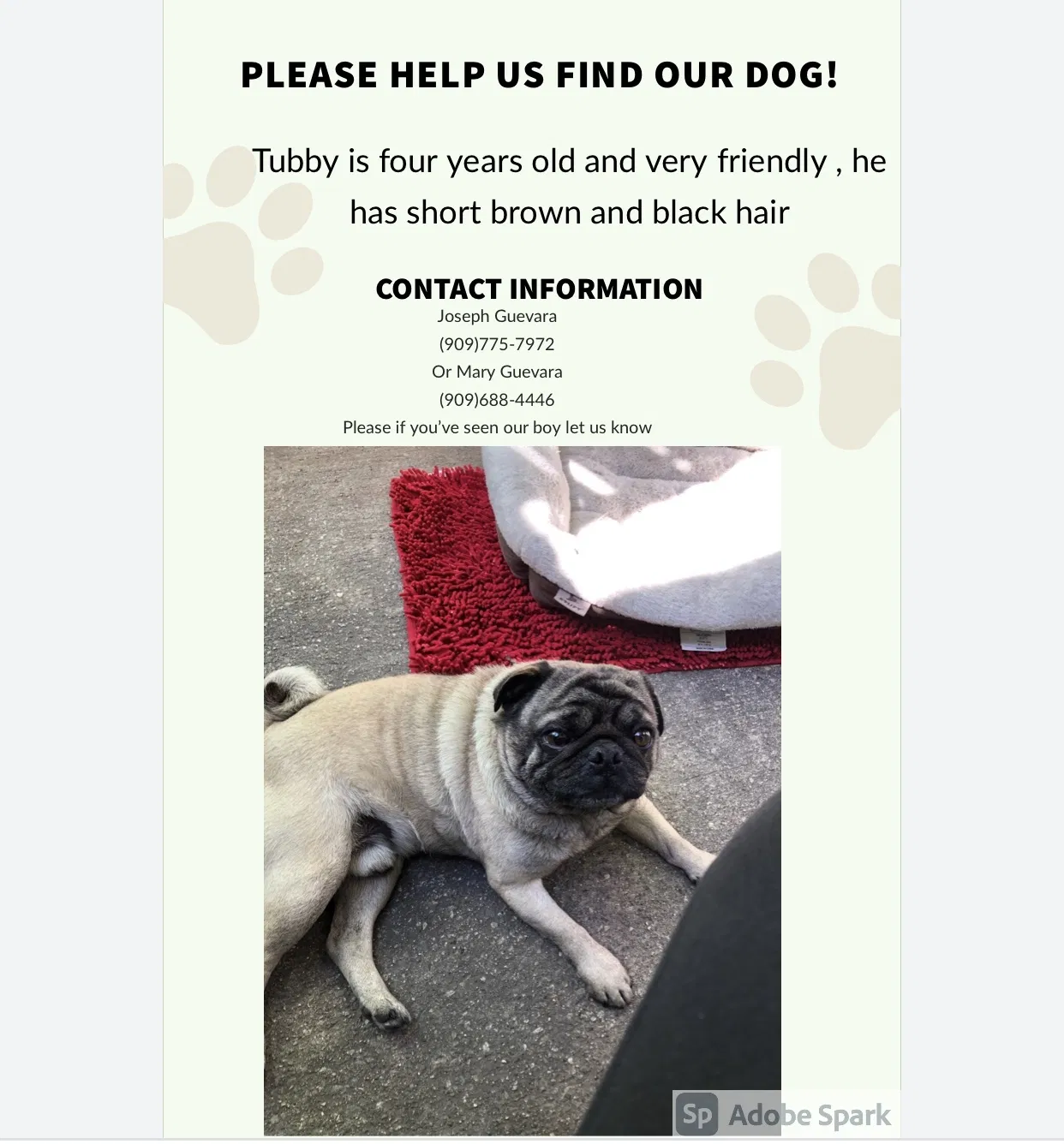 Lost dog in Fontana, CA, 92335