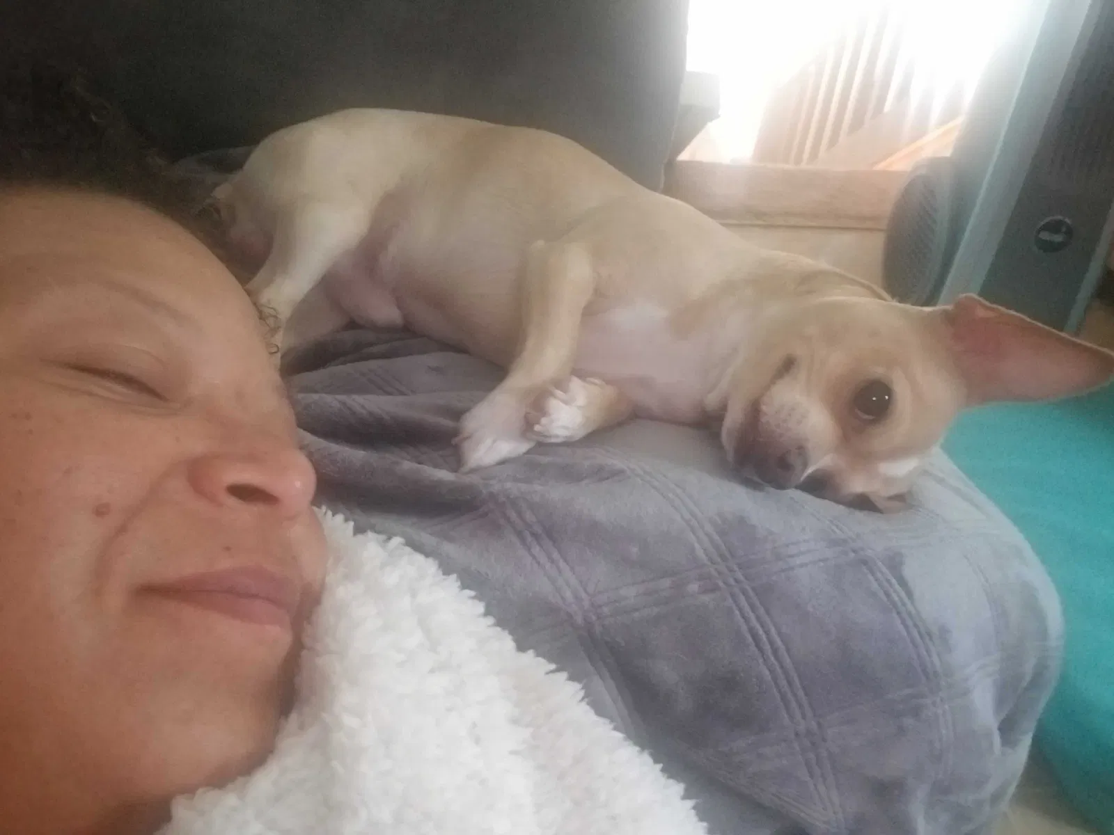 Lost dog in Lenoir, NC, 28645