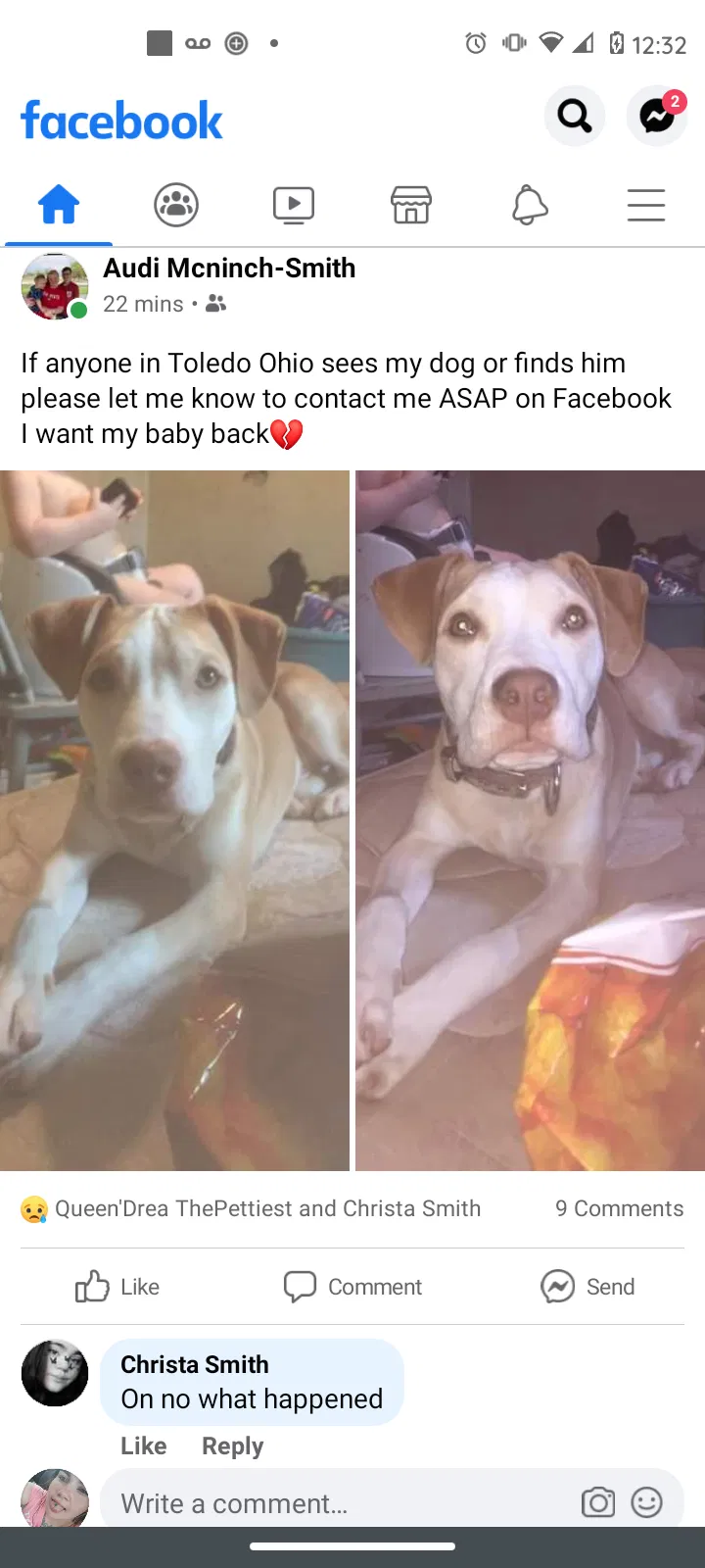 Lost dog in Toledo, OH, 43605