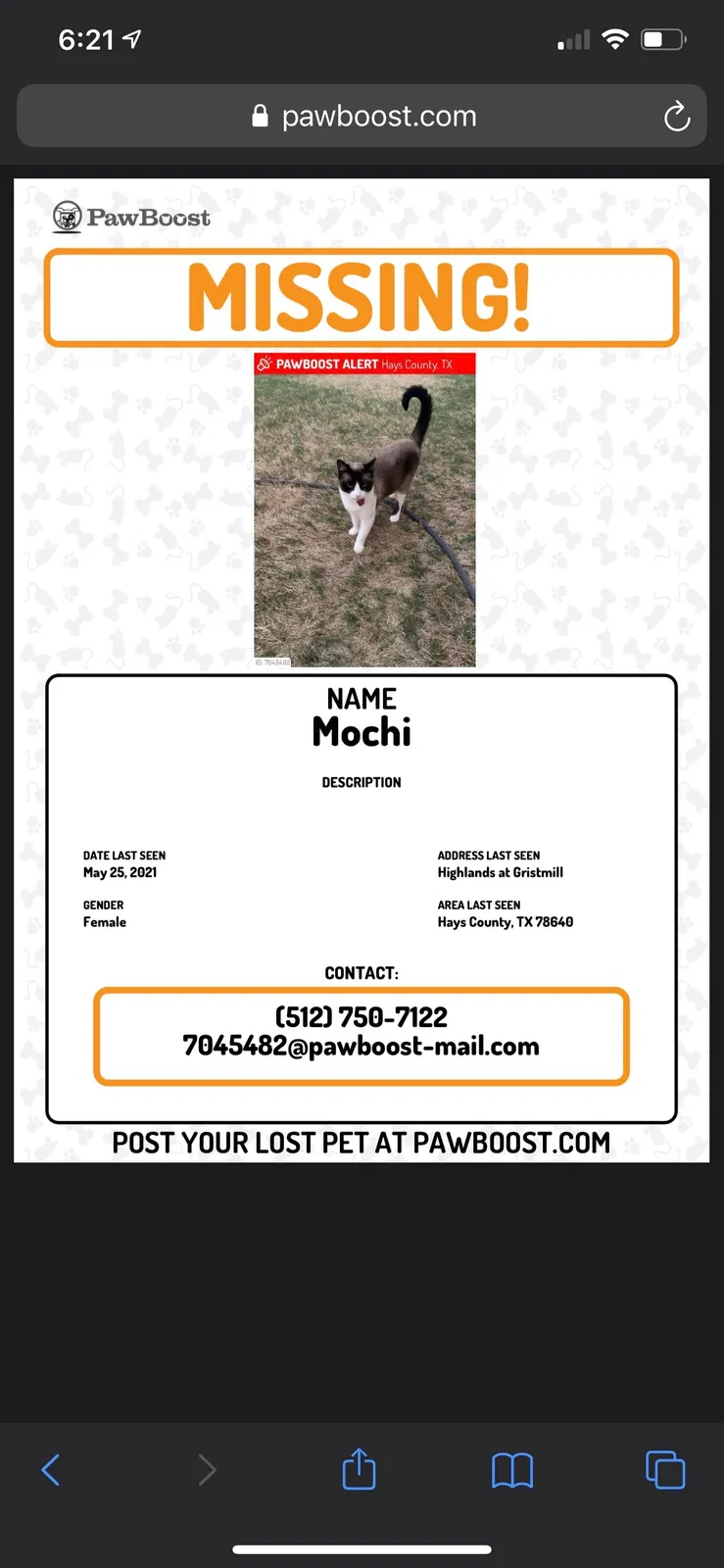 Lost cat in Austin, TX, 78748