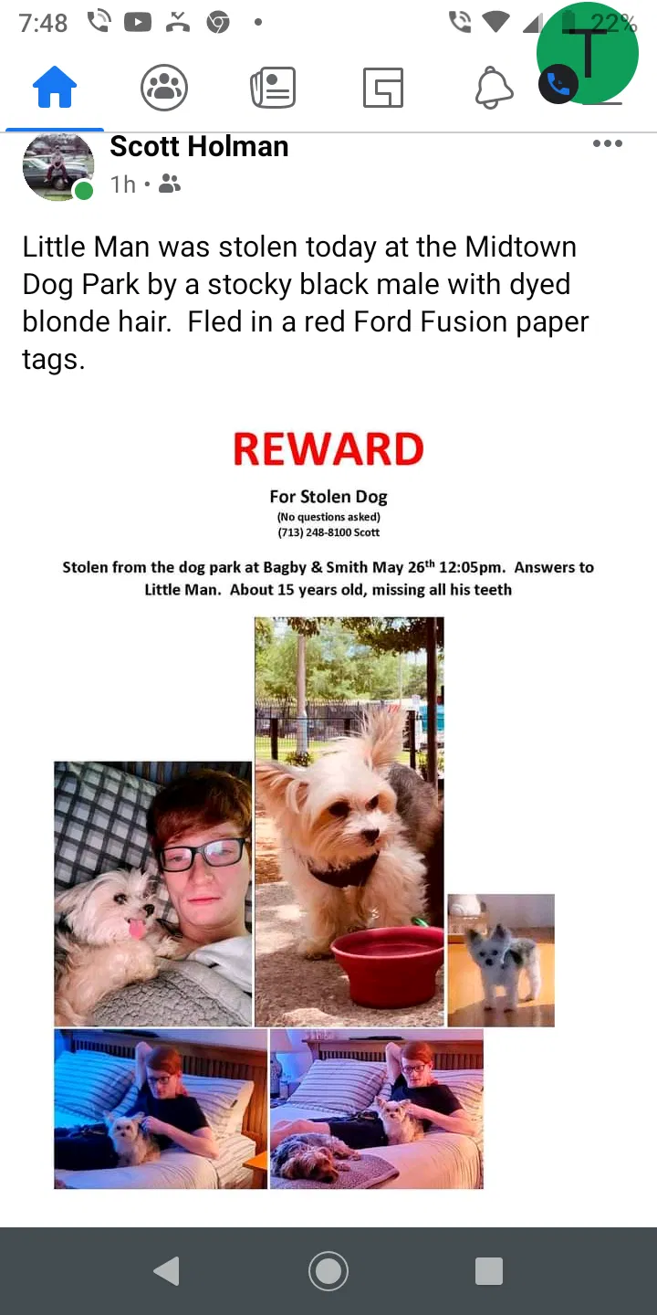 Lost dog in New Caney, TX, 77357