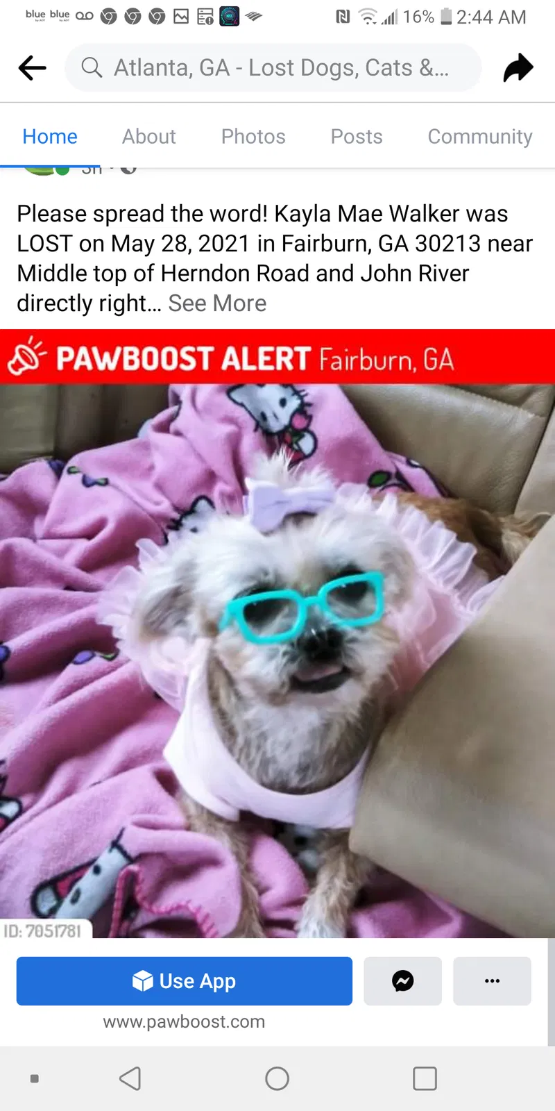 Lost dog in Fairburn, GA, 30213