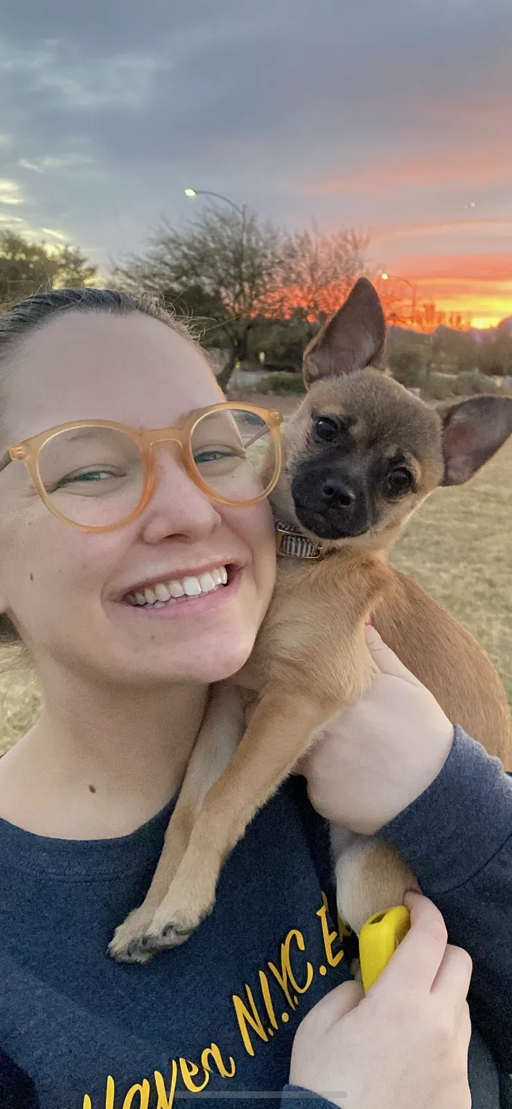 Lost dog in Las Vegas, NV, 89102