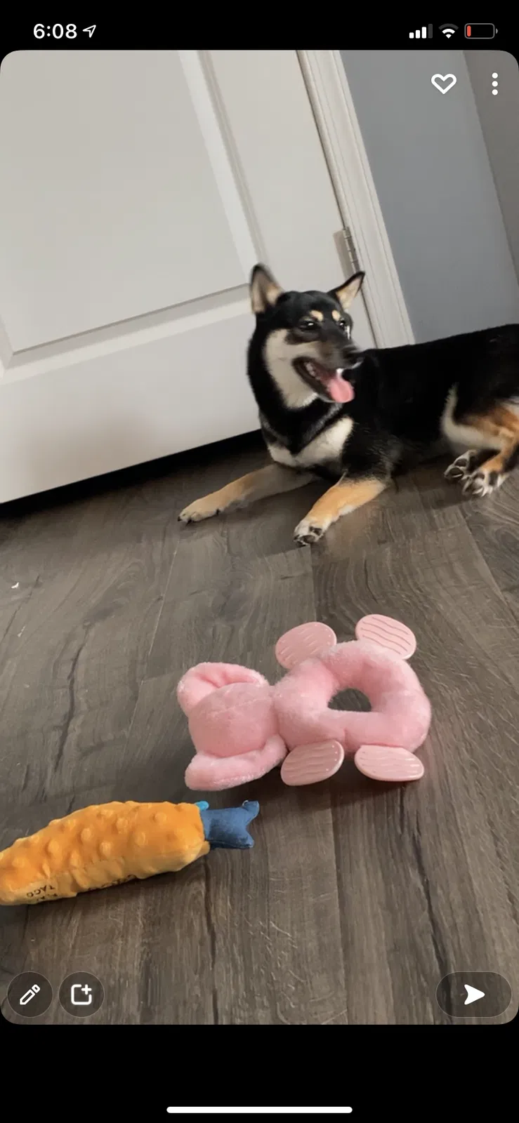 Lost dog in West Chester, OH, 45069