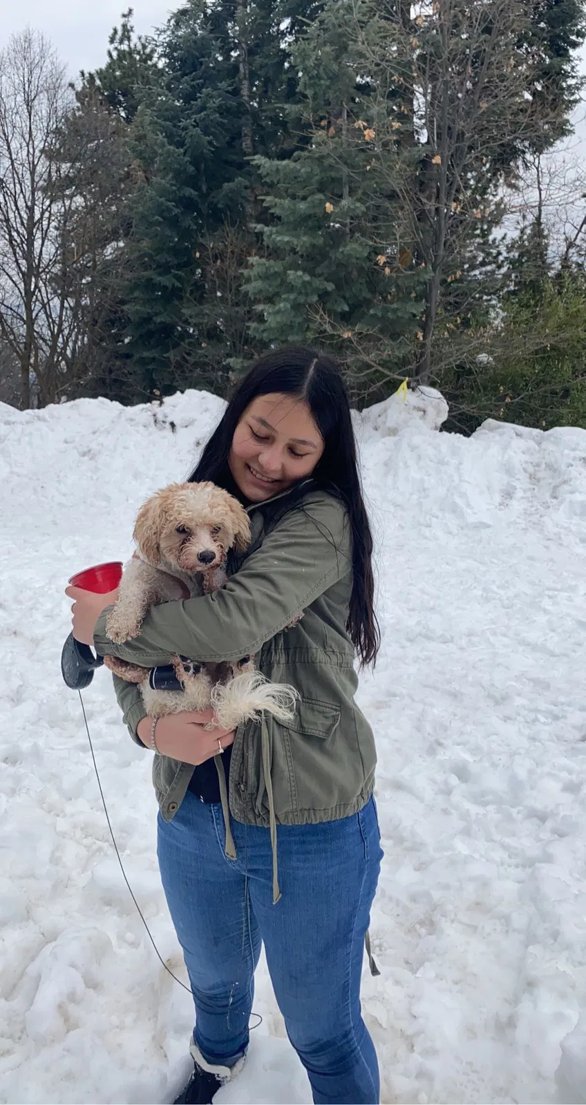 Lost dog in San Bernardino, CA, 92410