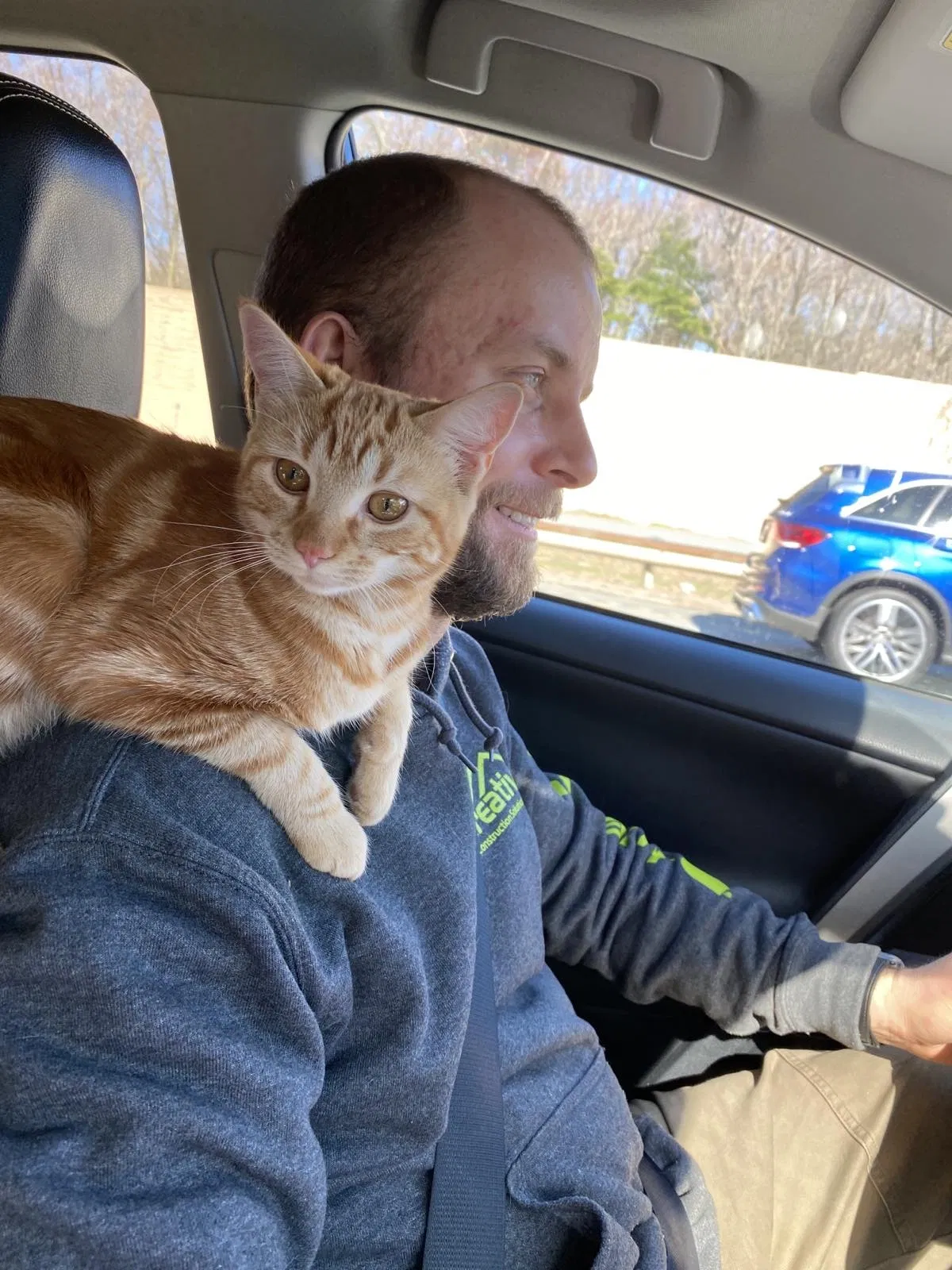 Lost cat in North Andover, MA, 1845