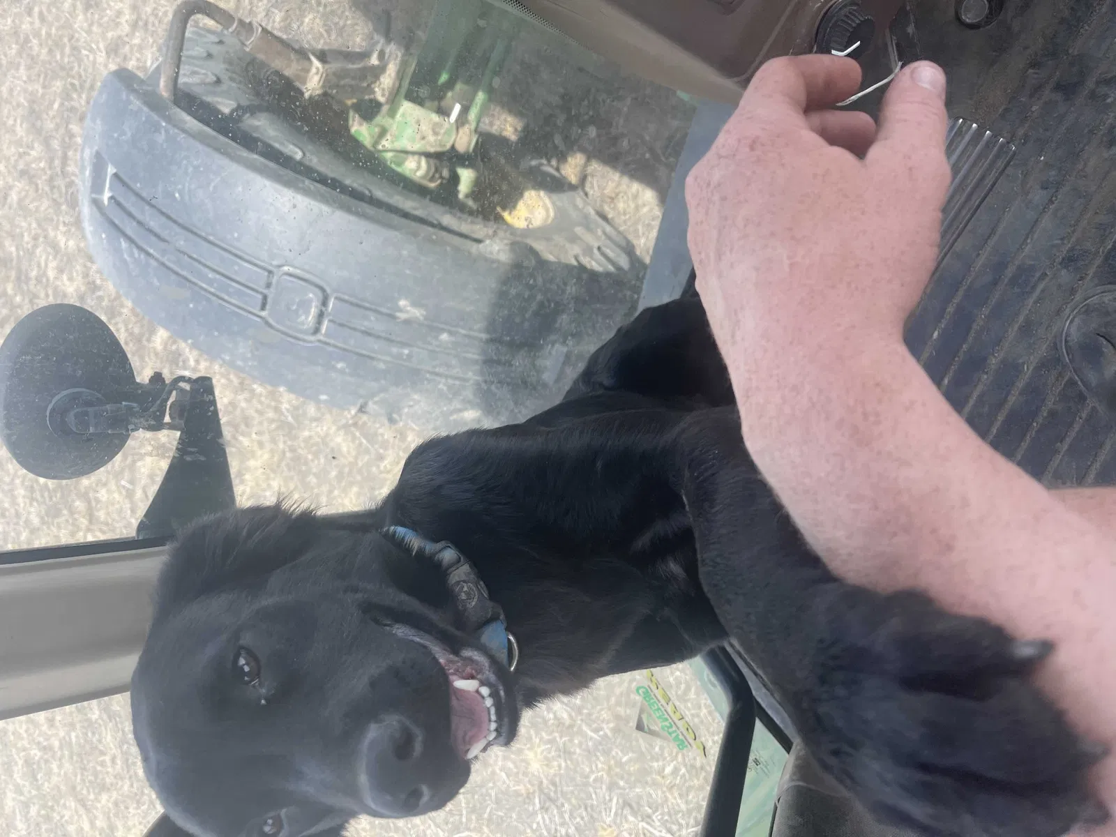 Lost dog in Batesville, MS, 38606