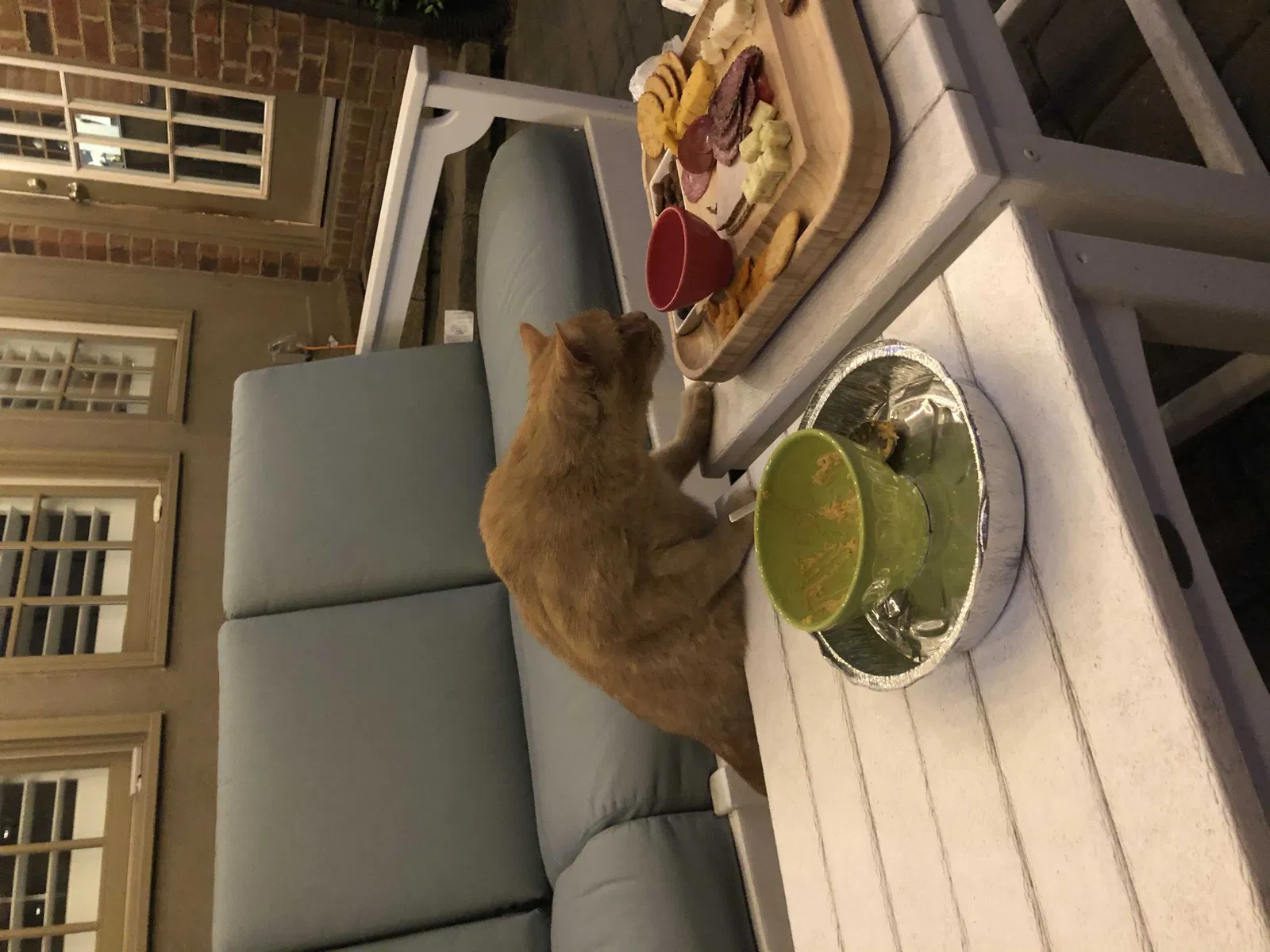Lost cat in Matthews, NC, 28104