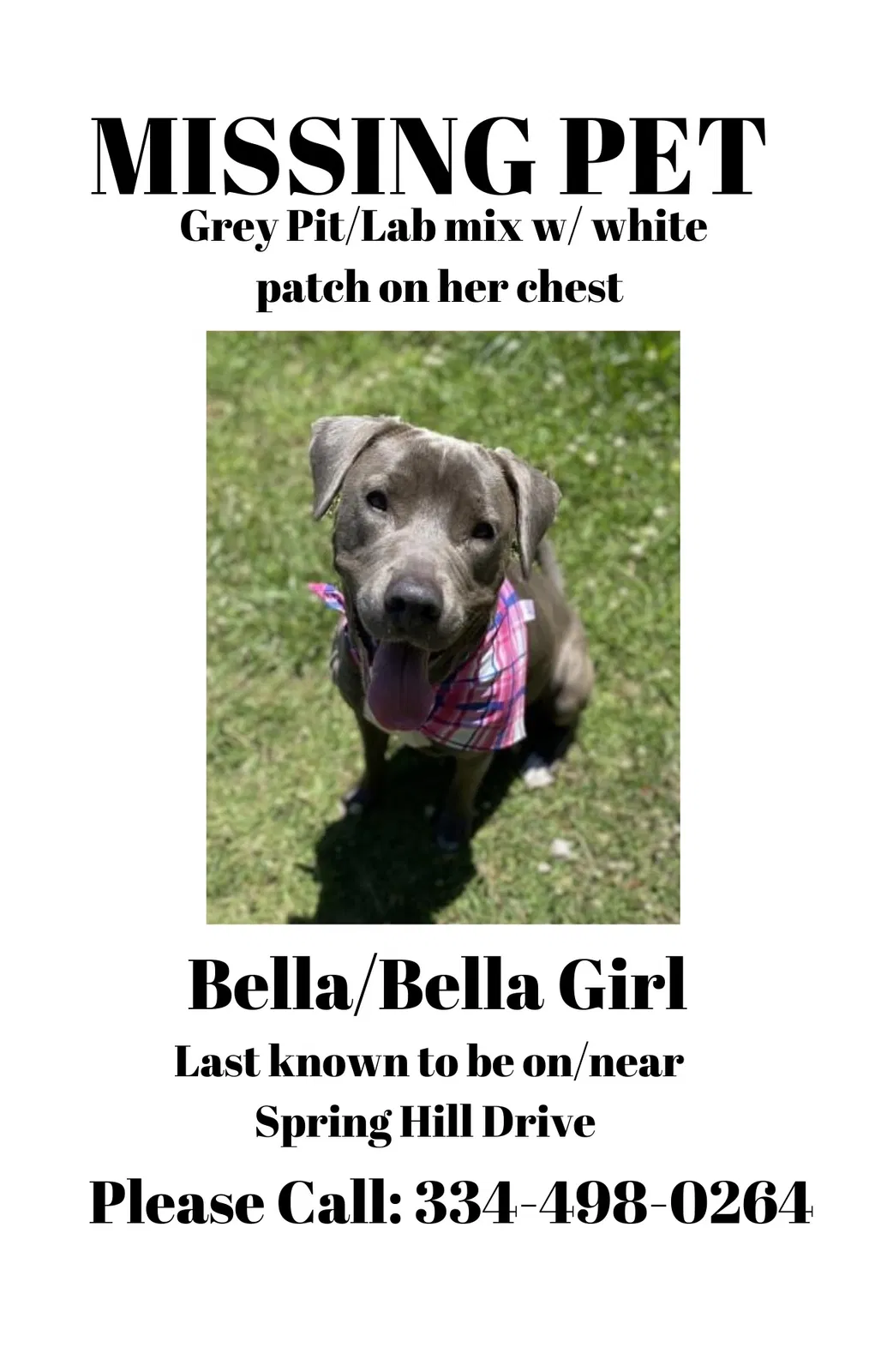 Lost dog in Auburn, AL, 36832