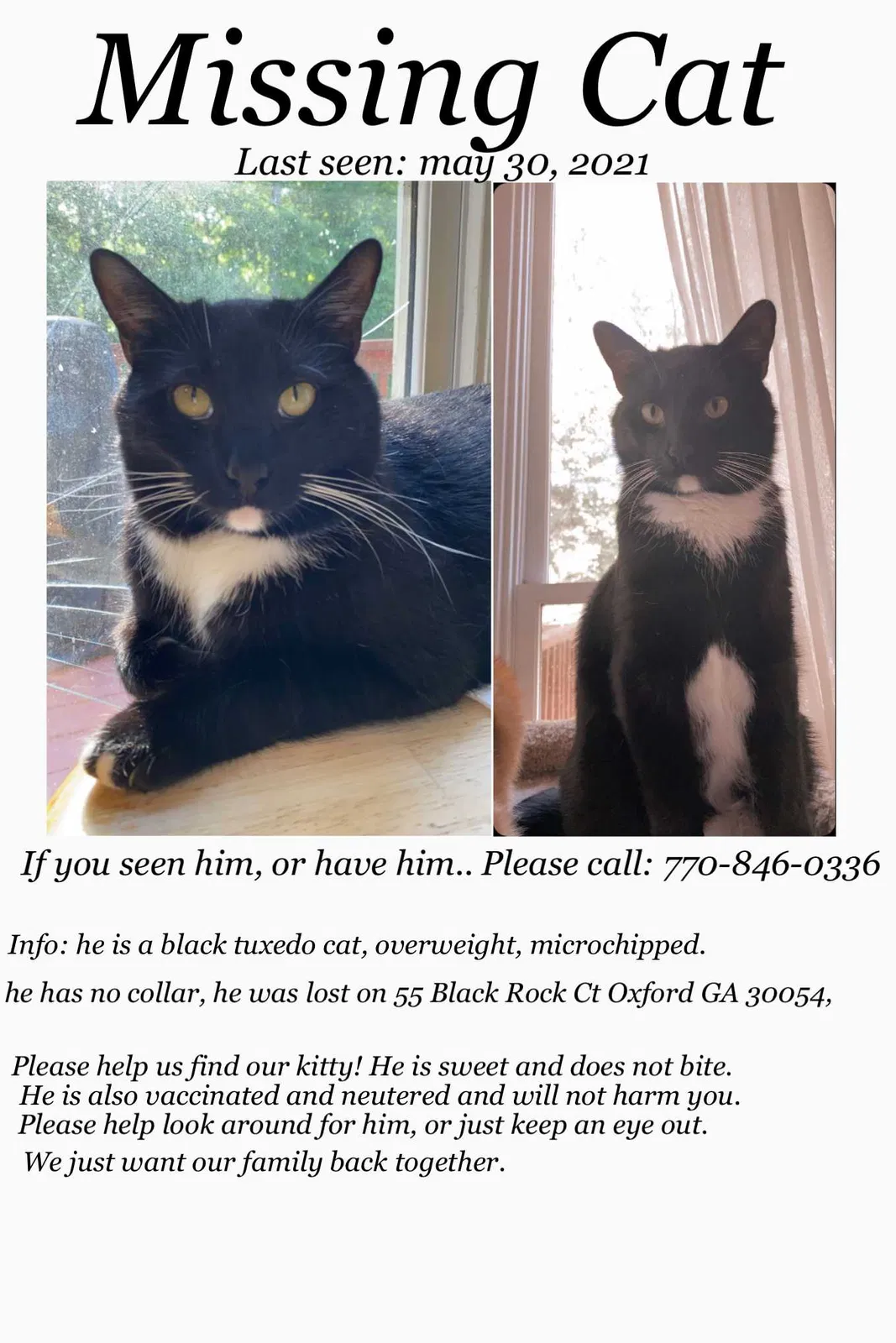 Lost cat in Oxford, GA, 30054