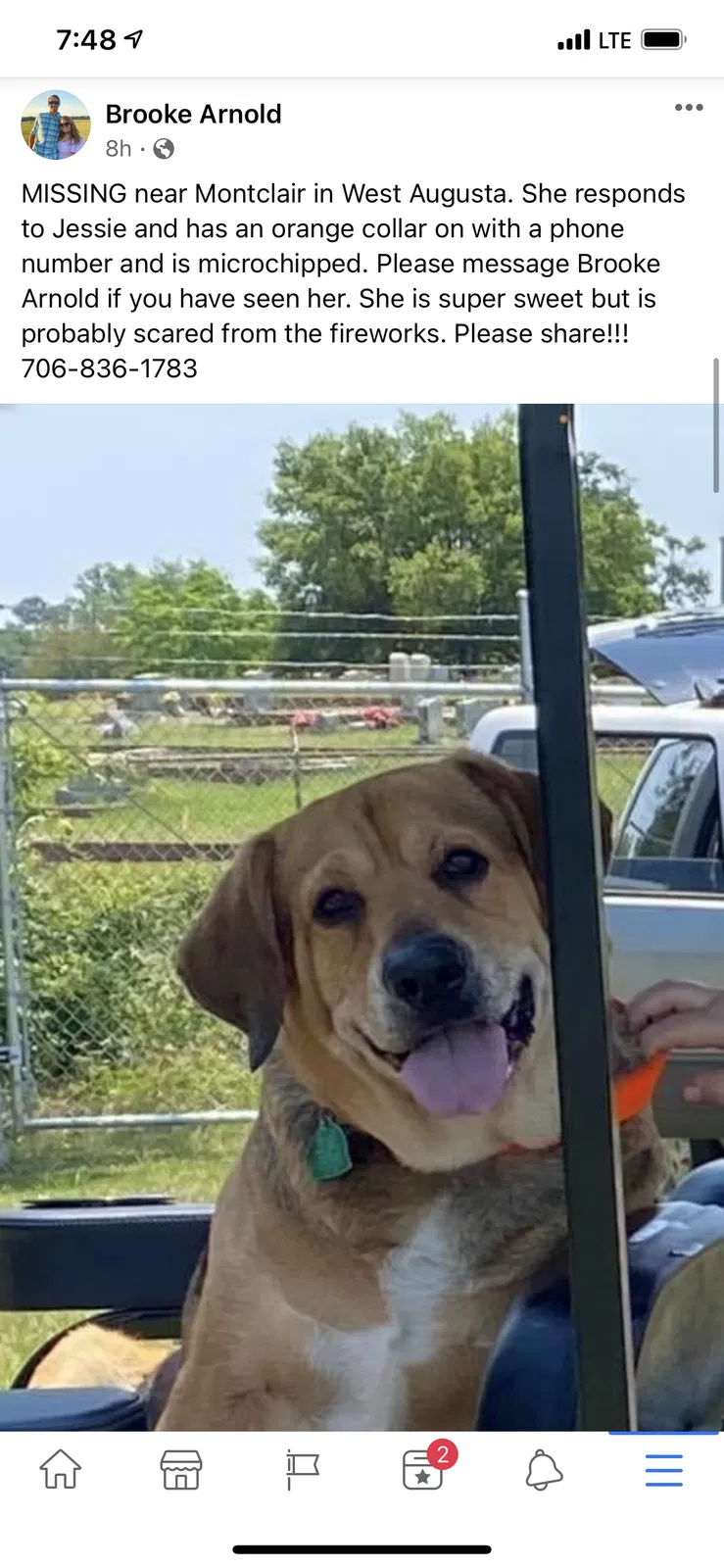 Lost dog in Augusta, GA, 30907