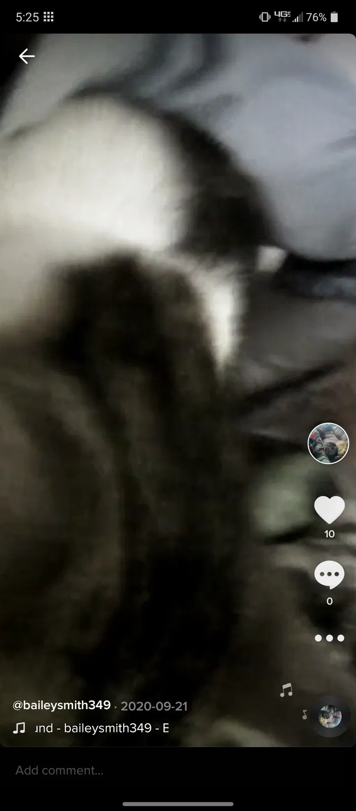 Lost cat in Gettysburg, OH, 45328